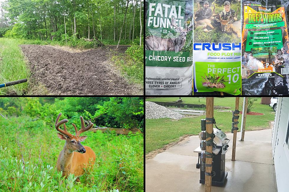 July Is Great to Set Trail Cameras &#038; Plant Food Plots For Michigan Deer