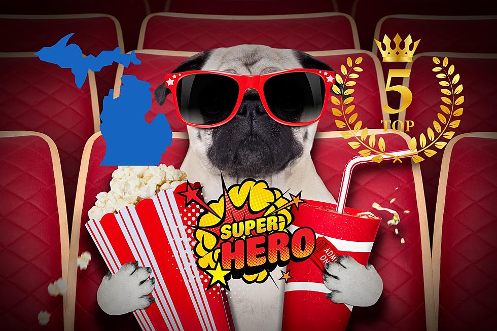Here Are Michigan’s Top 5 Superhero Movies