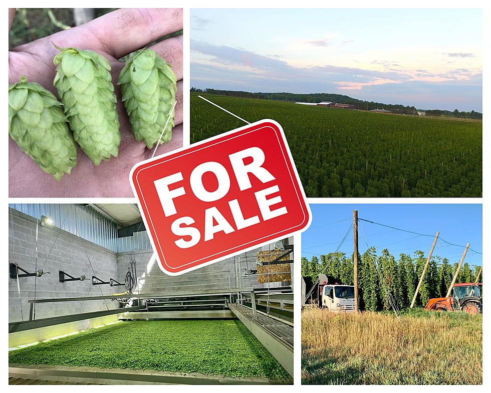 One of the Largest Hop Farms in the Nation is Going Up For Sale in Michigan