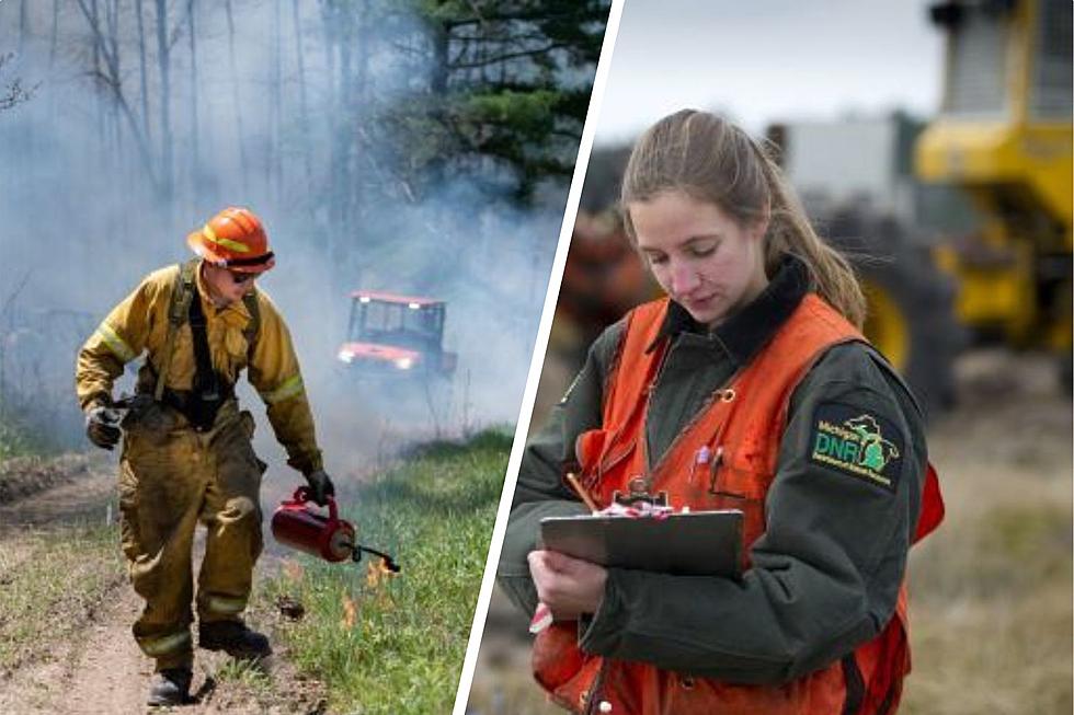 Want to Work in the Woods? Michigan DNR is Hiring