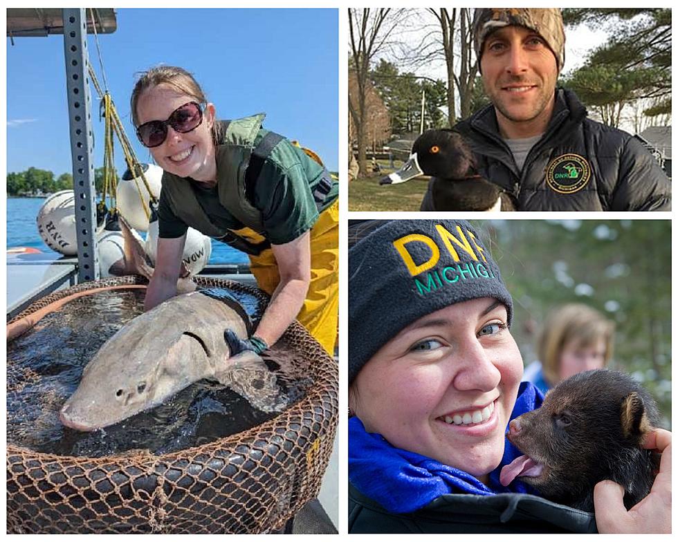 Want to Work in Michigan’s Great Outdoors? The DNR is Hiring