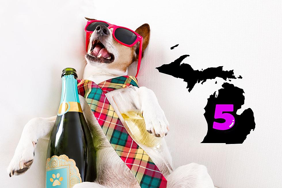 What Are The Top 5 Best Michigan Hangover Cures?