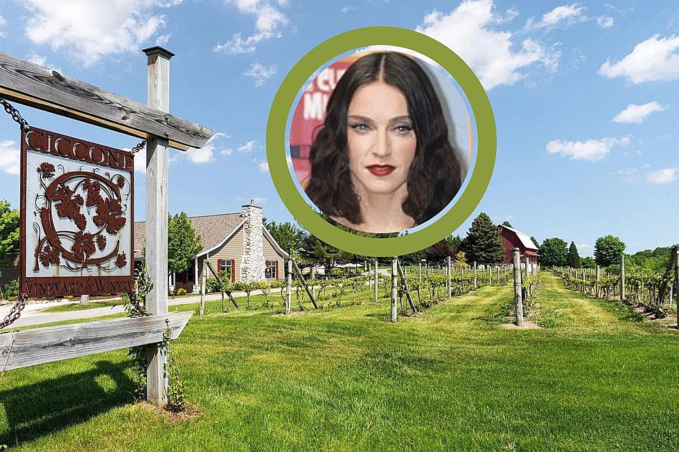 You Could Be A &#8220;Lucky Star&#8221; And Own Madonna&#8217;s Vineyard and Winery
