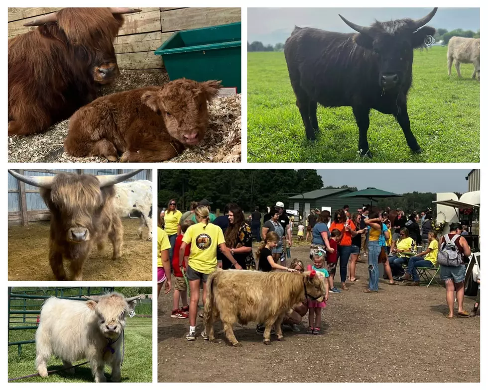 Thunder Acres Highlands, Facebook