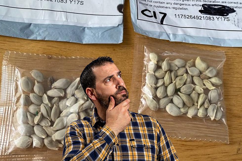 Michigan Residents Are Getting Weird Packets of Seeds in the Mail&#8230; Again