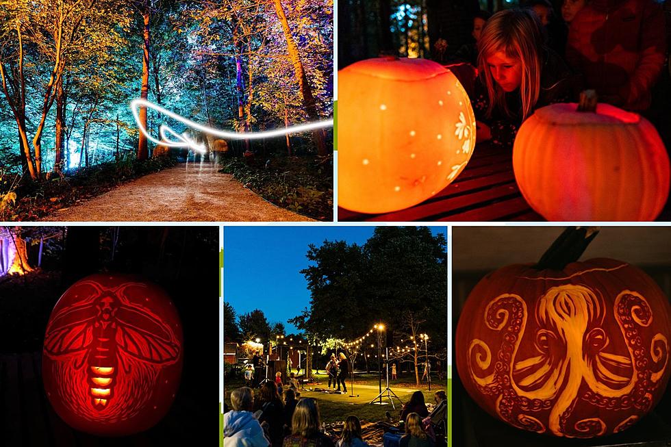 Take a Magical Walk Through an Illuminated Forest at Grand Rapids Glow Garden