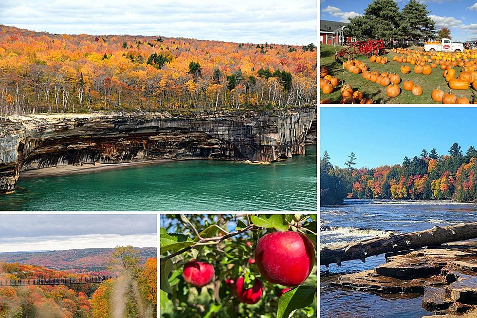 Michigan Ranked in Top 5 States to Visit this Fall&#8230; But THIS State is No. 1?