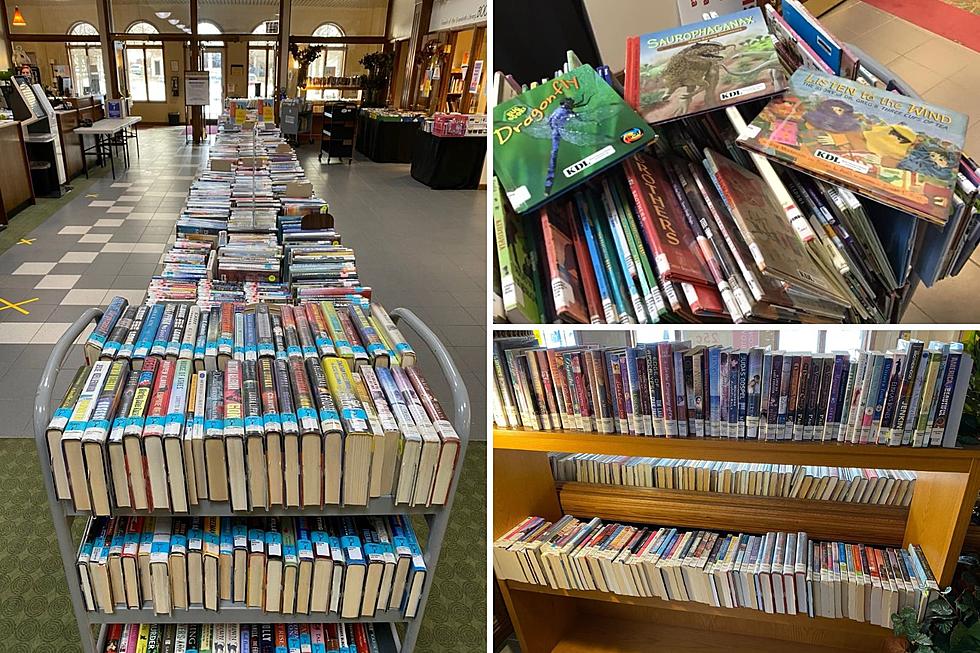 Get a Whole Bag of Books for Just $5 at Upcoming Sale in West Michigan