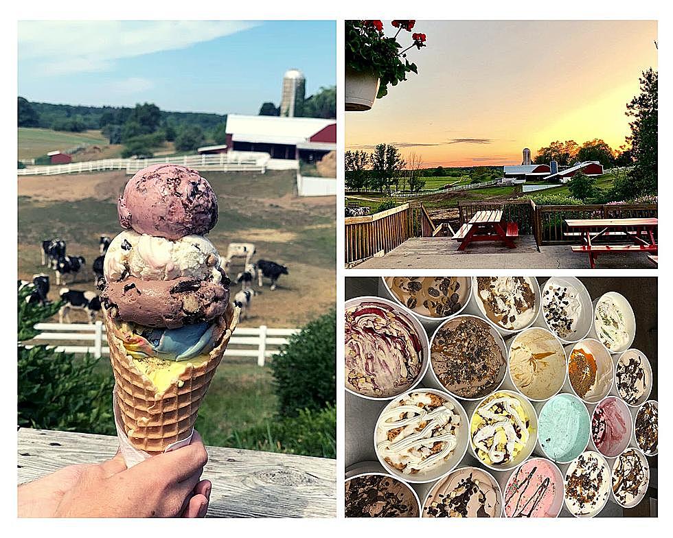 National Survey Names This the Best Ice Cream Shop in Michigan