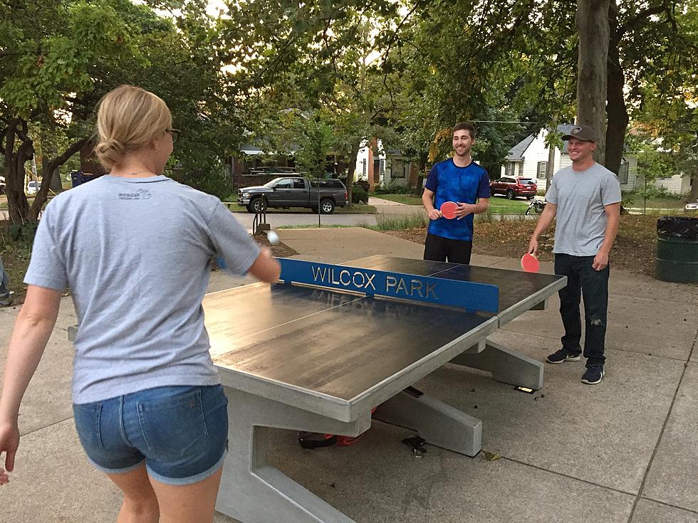 Did You Know There are 5 Outdoor Ping-Pong Tables in Grand Rapids?