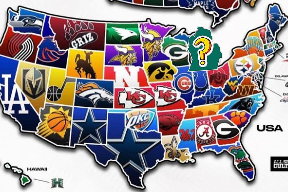 Michigan Has A Lot of Sports Teams But Which One is Most Loved?