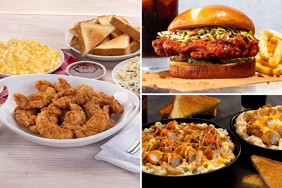 Southern Hand-Breaded Chicken Restaurant to Open 14 Locations in Michigan