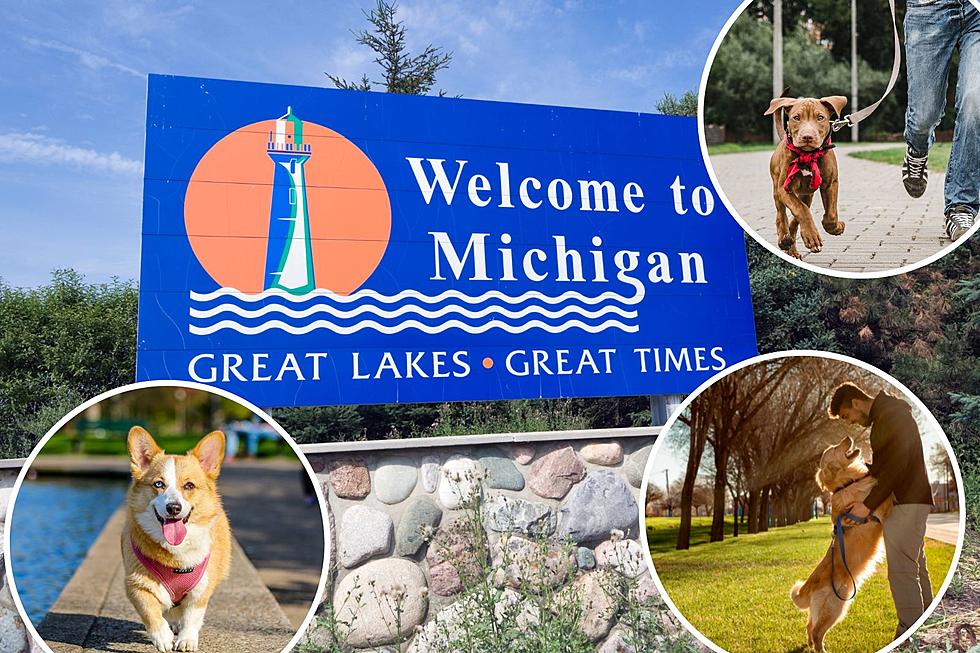 3 Michigan Cities Ranked in Top 25 For Dog Owners in U.S.