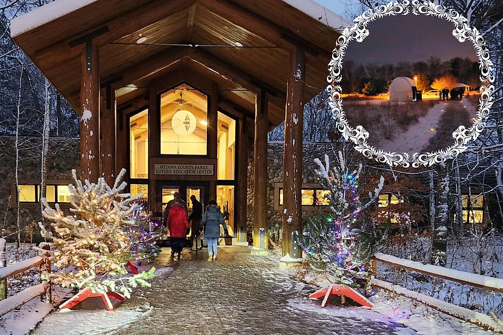 West Michigan Park Transformed into Illuminated, Magical Winter Wonderland