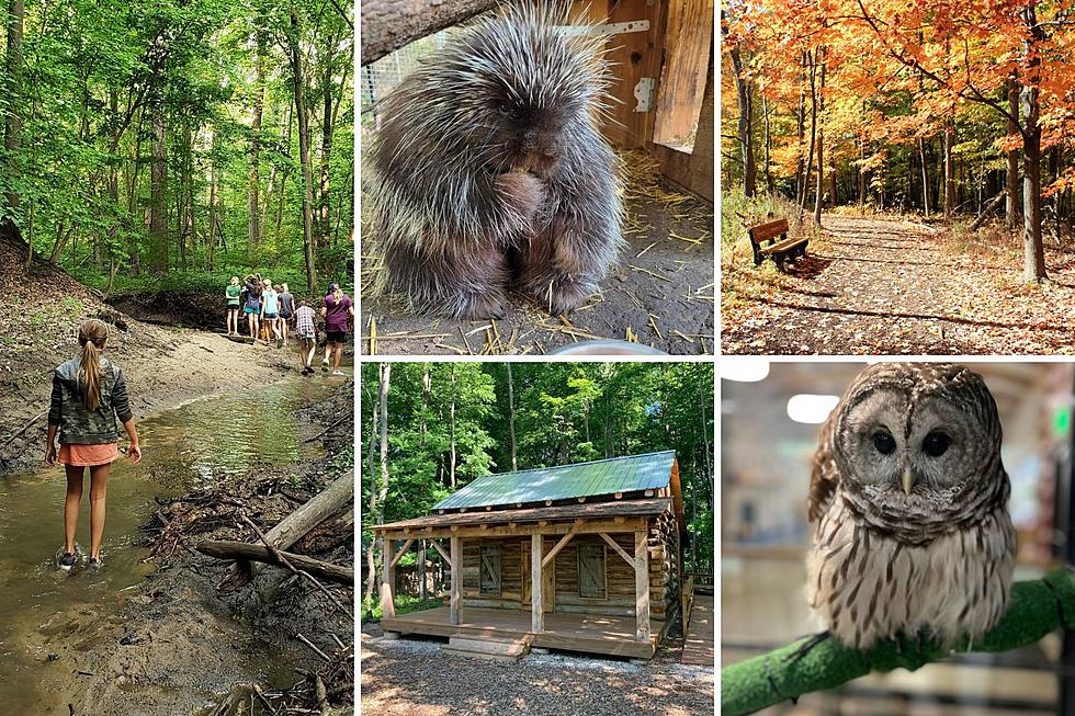 Grand Rapids Nature Center Offering Free Admission Entire Month of November