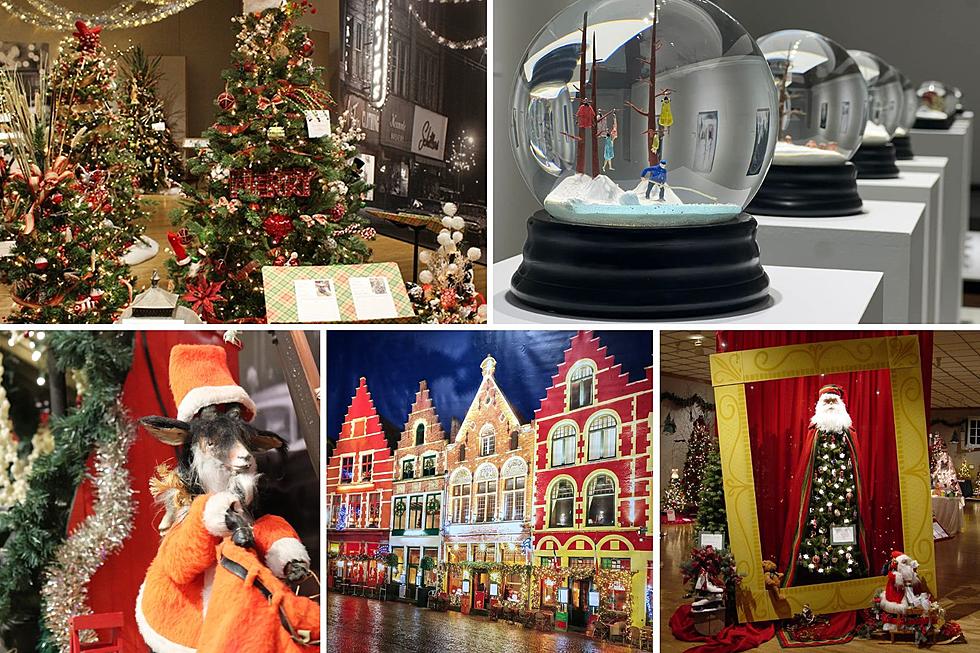 Strange Snow Globes to Festive Trees – This West Michigan Museum is Celebrating the Holidays