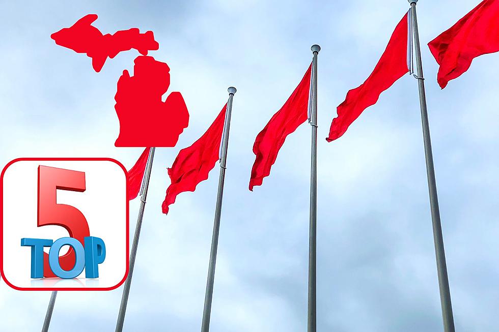 5 Biggest Red Flags About Living in Michigan