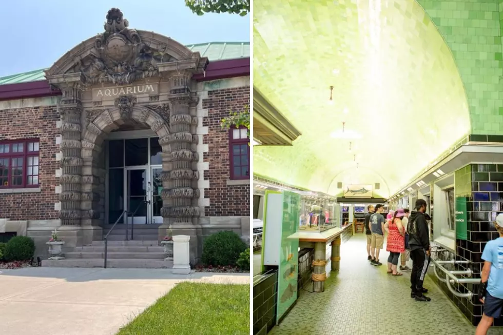 Belle Isle Aquarium, Instagram