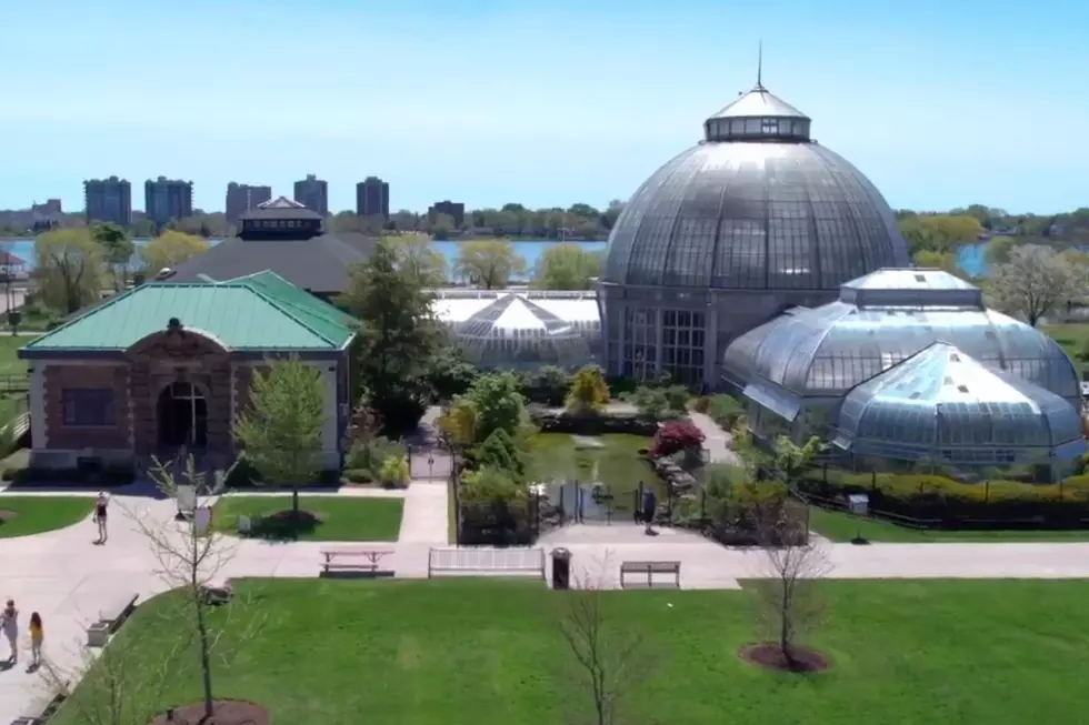 Belle Isle Aquarium, Instagram