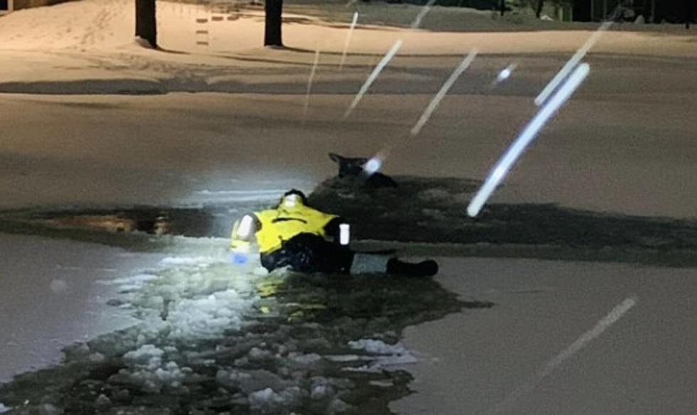 Deer Falls Through Ice, Wyoming Firefighters Come To Rescue