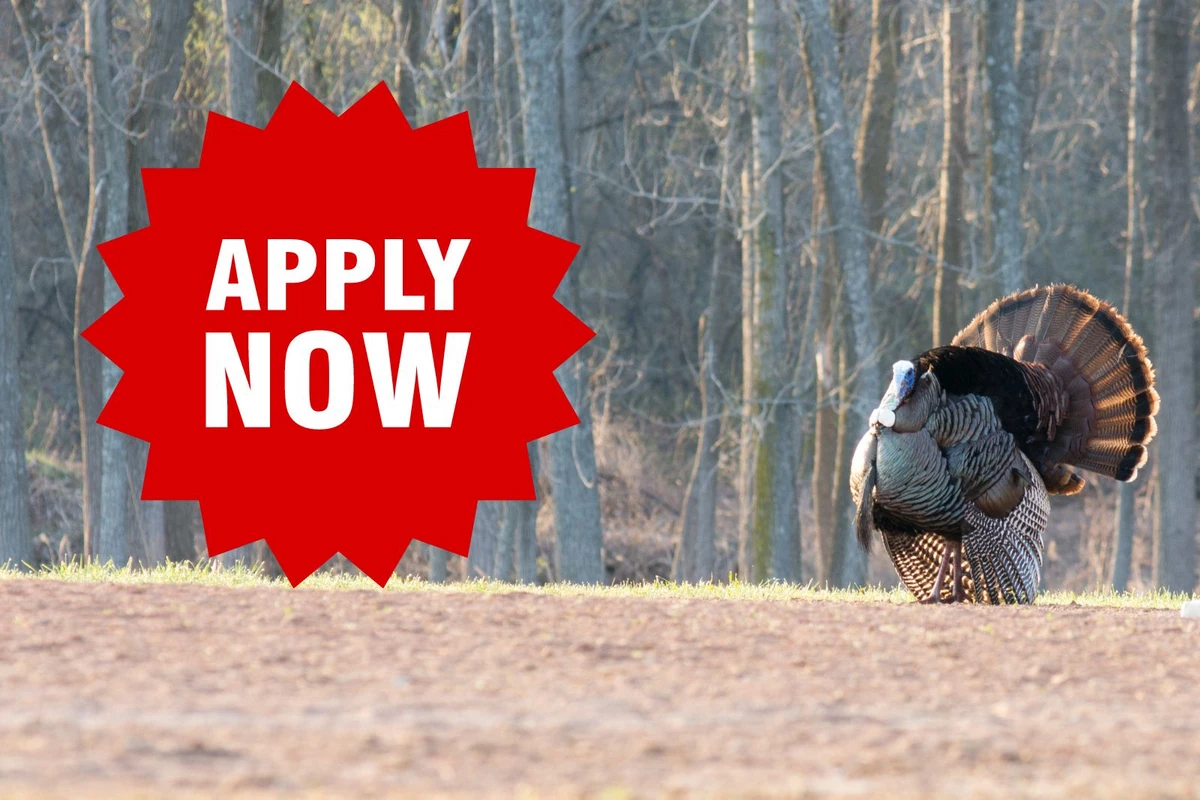 Still Time to Apply for 2024 Michigan Turkey Hunting Permit