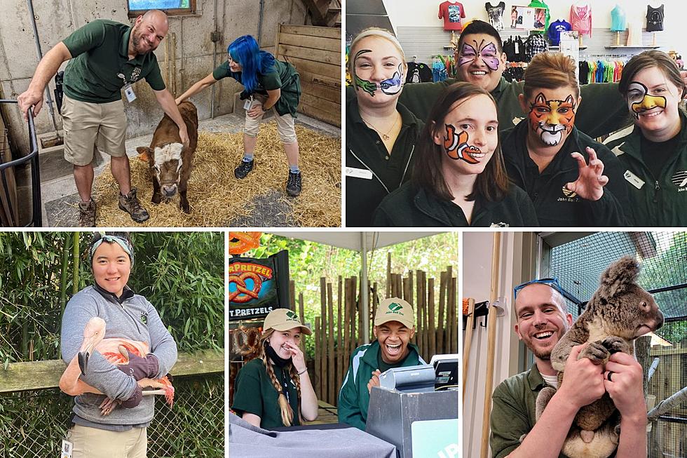 Want to Work at John Ball Zoo? Attend an Upcoming Hiring Event