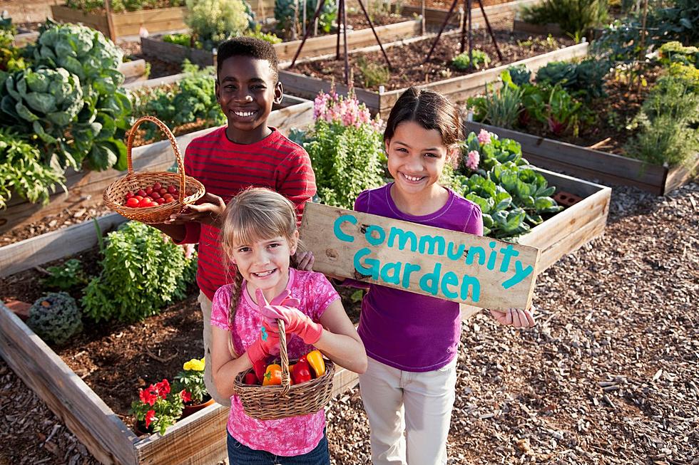 New Community Garden Coming to Downtown Grand Rapids