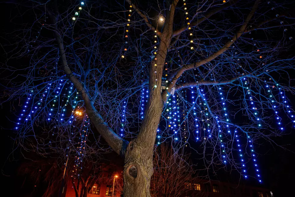 Photo of The Singing tree that lights up based on sounds you make.