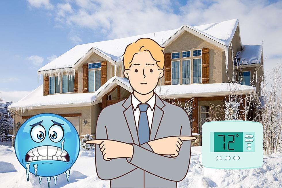 Is Your Thermostat Too High? Find Out From Professionals