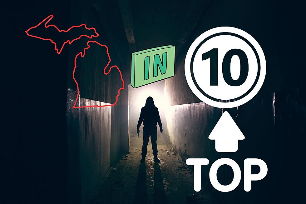 Michigan Among Top 10 States with Most Serial Killer Victims