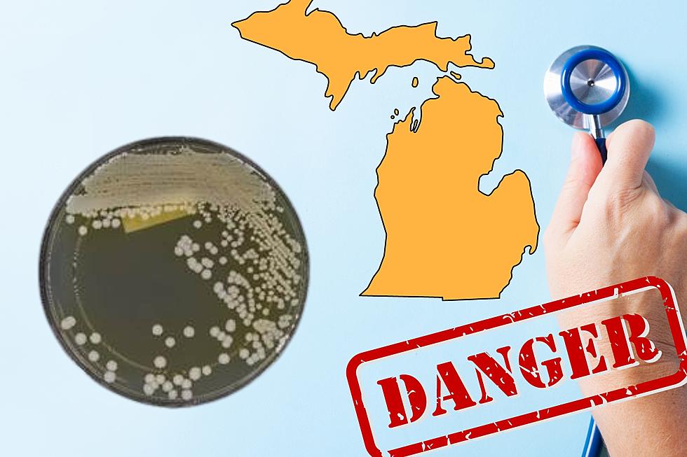 WARNING! Fungal Virus Is Spreading Across Michigan: What to Know