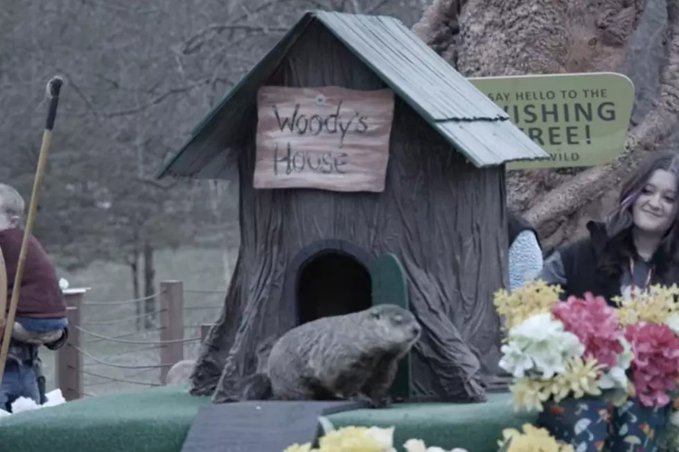 Screenshot showing Woody the Woodchuck