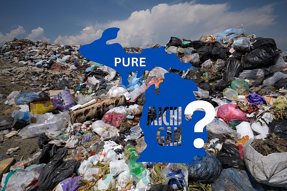 Should Michigan Be Accepting Trash From Other States?