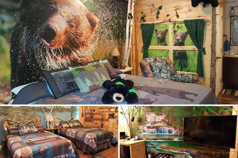 Cozy, Forest-Themed Michigan Inn Competing For Best Roadside Motel in the U.S.