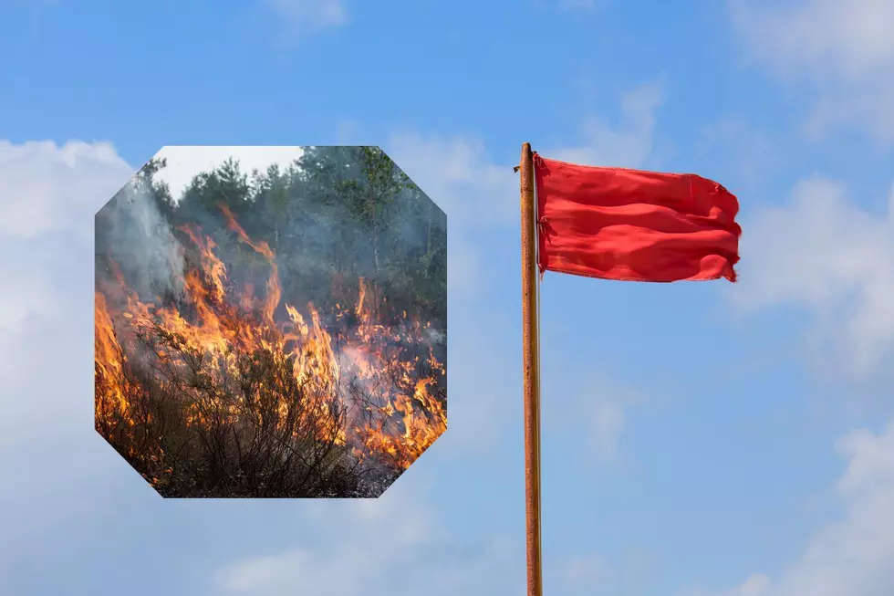 Michigan Had A Red Flag Warning - Here's What To Know