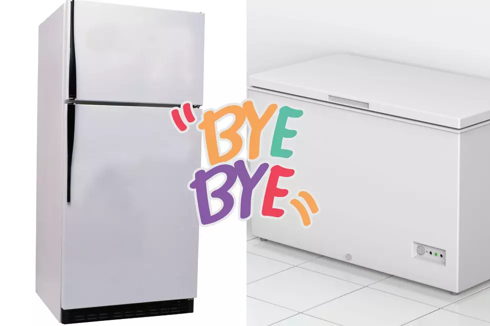 Say Goodbye to Your Refrigerator or Freezer Michiganders