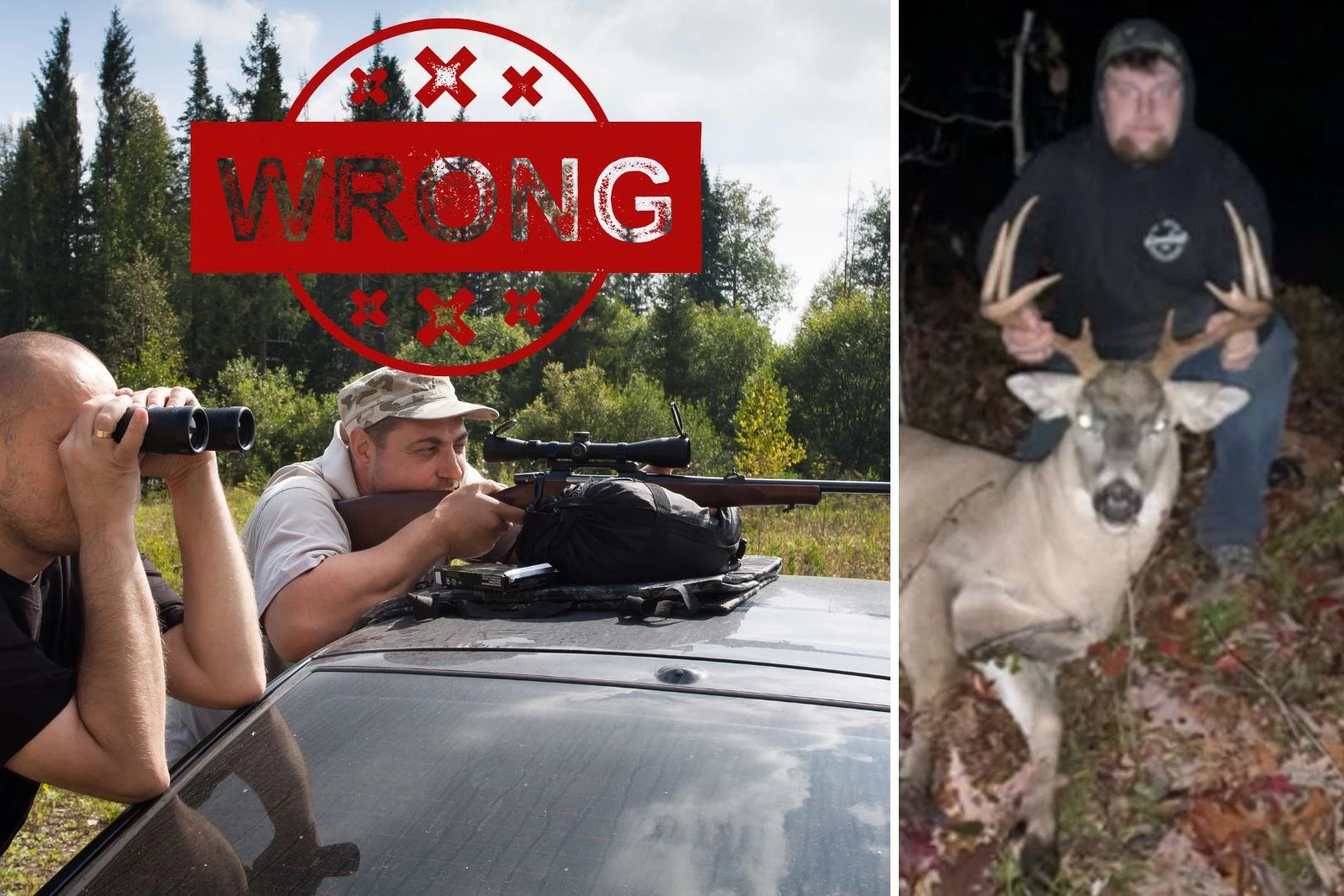 2 Michigan Men Arraigned For Poaching And Torturing Animals