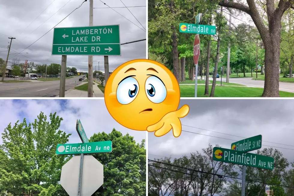 Elmdale A Street, Road, Or Avenue In Grand Rapids?