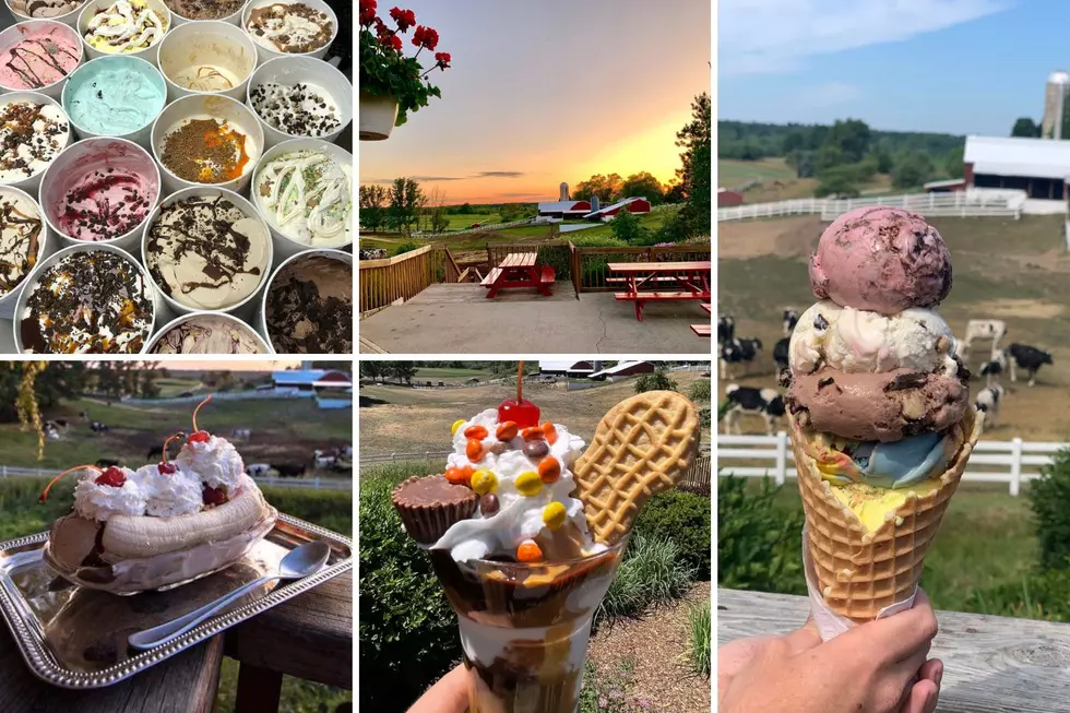 Michigan’s Best Ice Cream Shop Serves 160+ Flavors in Farm Setting