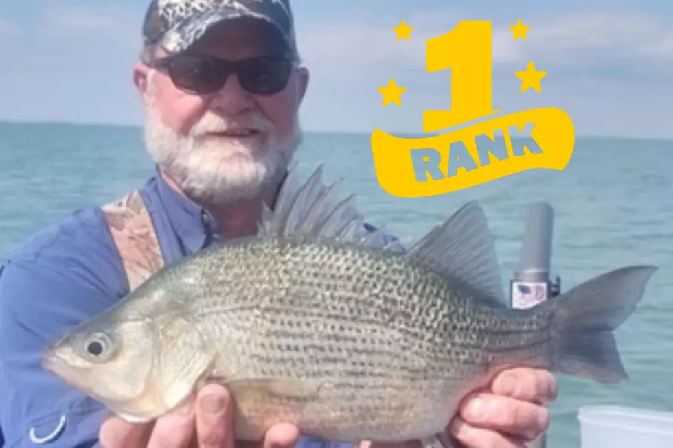 New State Record White Perch Has Been Caught In Michigan