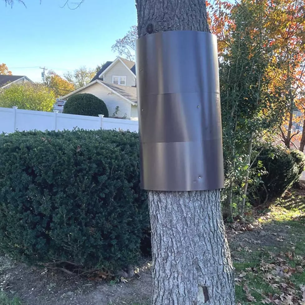 Metal sheet tree