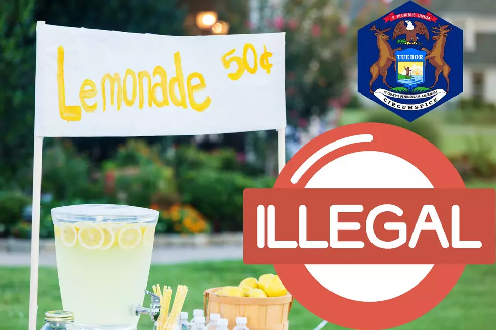Your Kid’s Lemonade Stand is ILLEGAL In Michigan