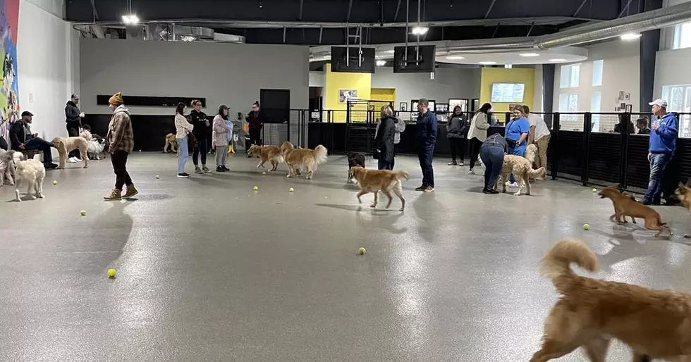 The Pack, Facebook