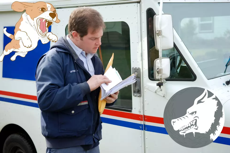 Postal Service Says Michigan is in Top 10 For Dog Bites