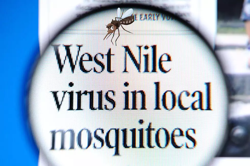West Nile Virus Has Been Found In Kent County