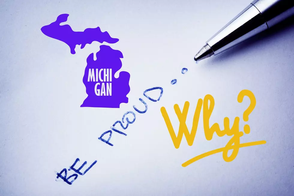 Why We&#8217;re Proud to Be Michiganders/Proud of Michigan