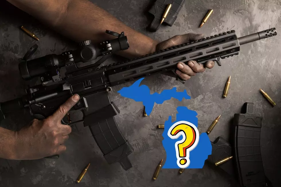 Should Michigan Have an AR-15 as State Firearm?