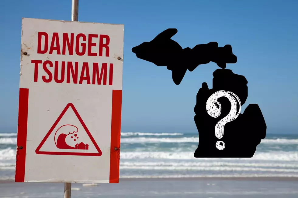 Tsunami on The Great Lakes?