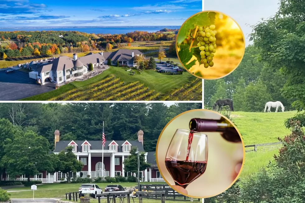 Two Michigan Resorts in Running for Best Wine Country Hotel in the U.S.