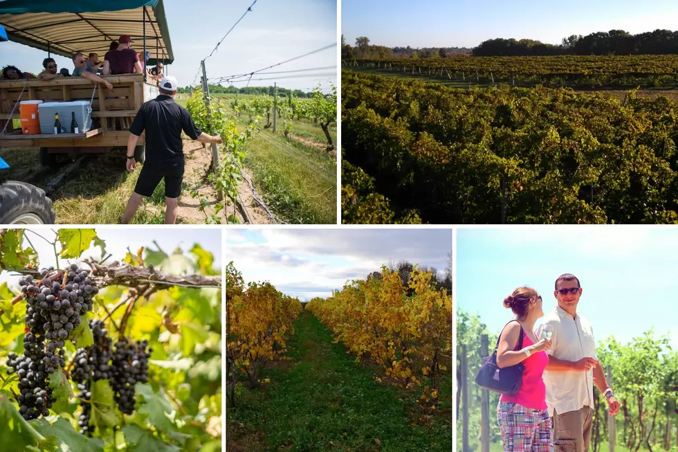West Michigan Vineyard in the Running for Best Winery Tour in the Country